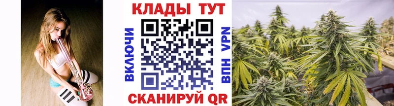 Продажа наркотиков Няндома Канабис  Меф  Гашиш 