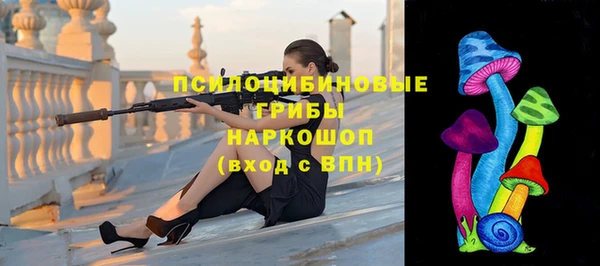 стаф Арсеньев