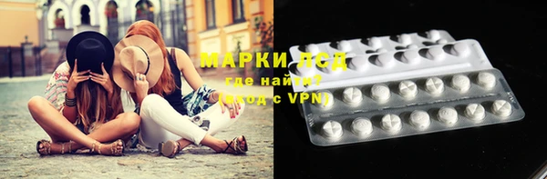 стаф Арсеньев