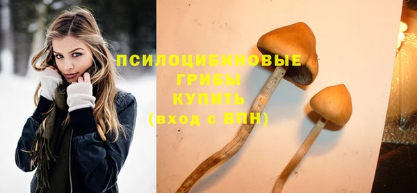 стаф Арсеньев