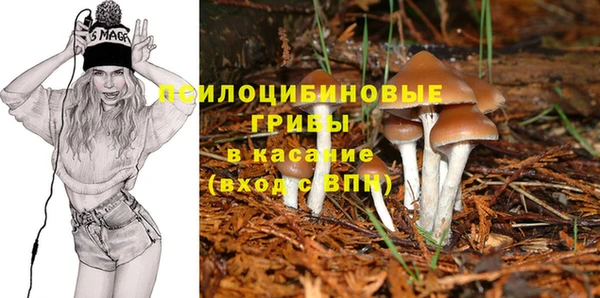 амф Аркадак