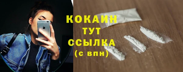 стаф Арсеньев
