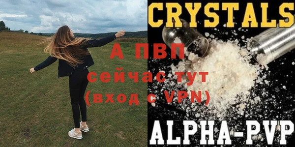 стаф Арсеньев