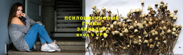 стаф Арсеньев