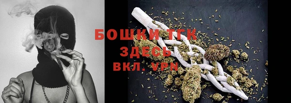 амф Аркадак