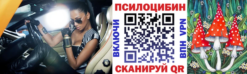 Галлюциногенные грибы Psilocybine cubensis Няндома